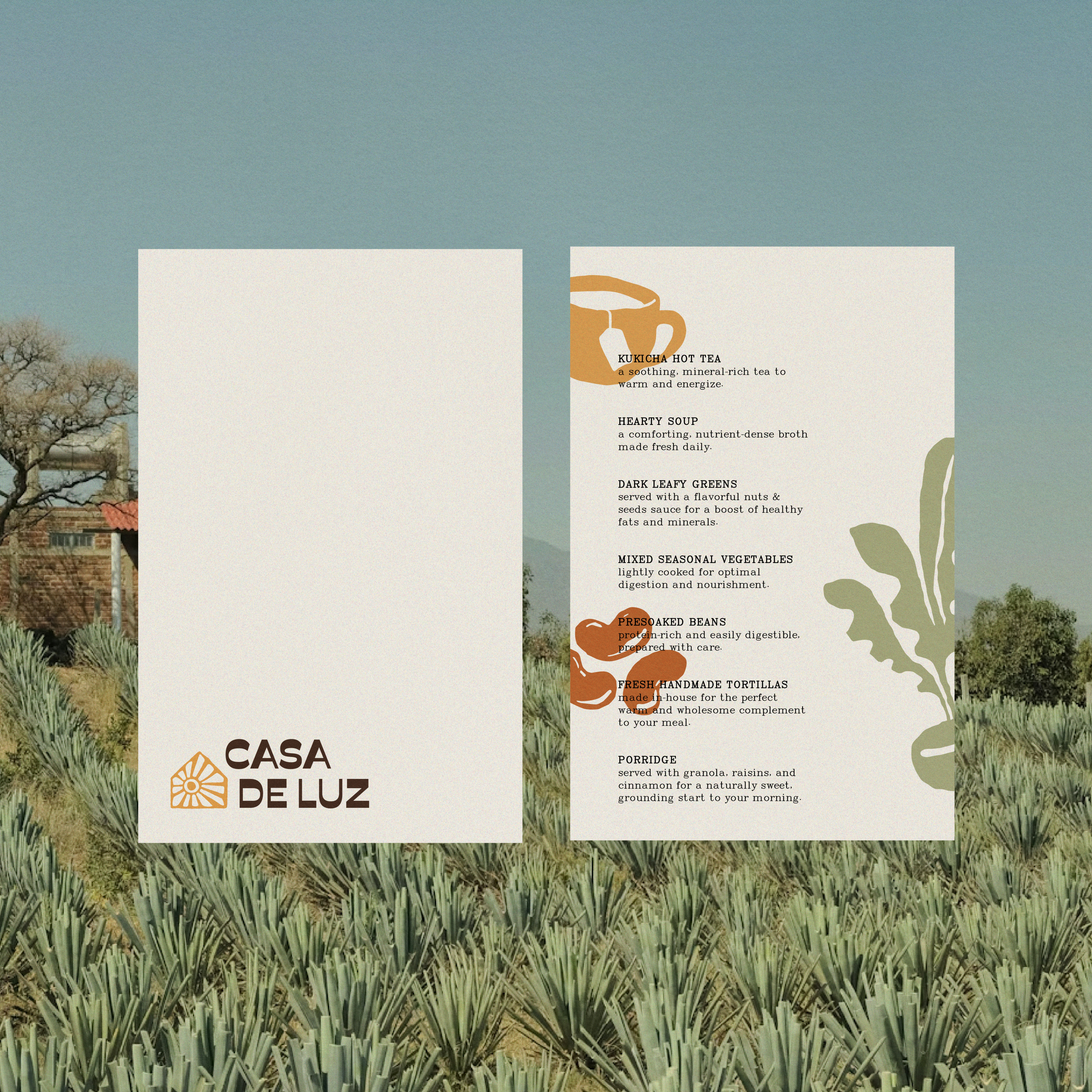 Casa De Luz Branding